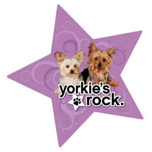 在庫限り　DOG　スターマグネット　ヨークシャーテリア/ヨーキー　輸入雑貨・犬グッズ・犬雑貨