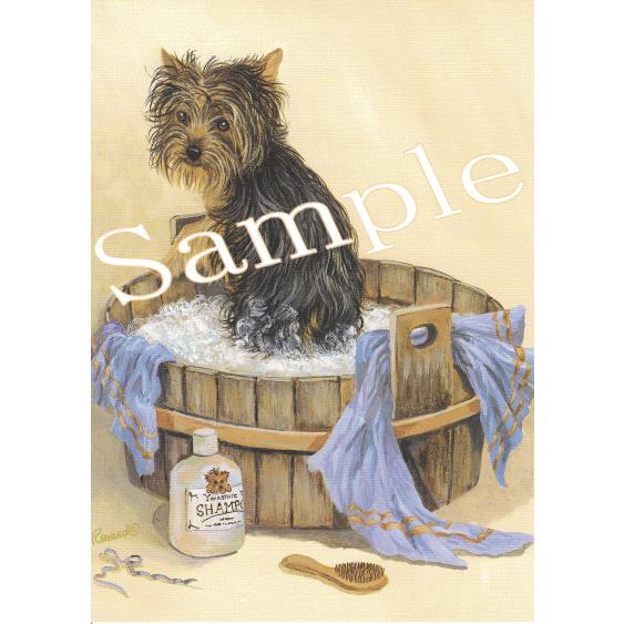 在庫限り　グリーティングカード　ヨークシャー・テリア/ヨーキー　輸入雑貨　犬雑貨　犬グッズ