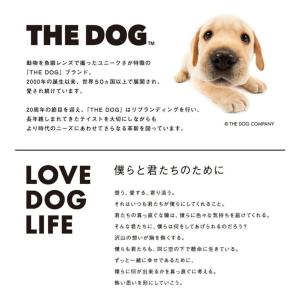 暖簾【のれん】 THE DOG ウェルシュ・コ...の詳細画像5