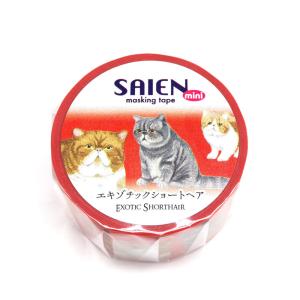 在庫限り マスキングテープ エキゾチックショー...の詳細画像1