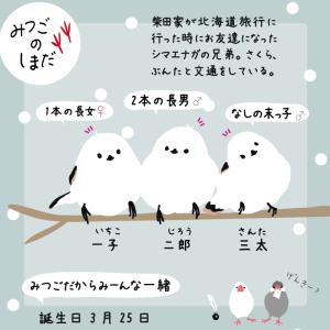 A4トートバッグ シマエナガ・鳥雑貨・ことりグッズの詳細画像5