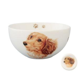 わんコレ　お茶碗と箸置き　Ｇ4　ロイヤル　ダックス　犬雑貨　犬グッズ