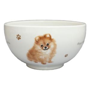 わんコレ　どんぶり　S20 ポメラニアン　犬雑貨　犬グッズ