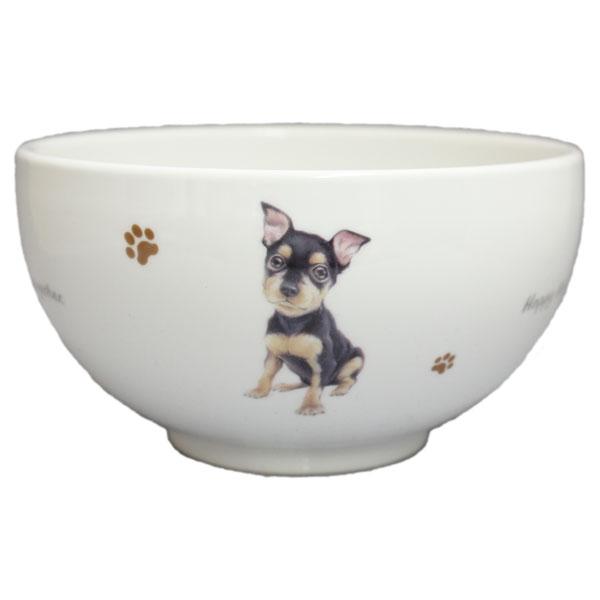 わんコレ　どんぶり　S40 ミニピン　犬雑貨　犬グッズ