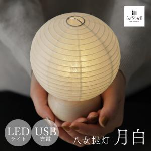 Panasonic（パナソニック） 非常灯用ハロゲン電球（JBD） E11