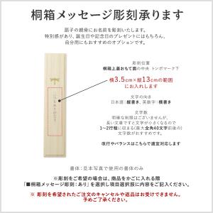扇子 メンズ デニム扇子 男性 岡山産 日本製...の詳細画像3