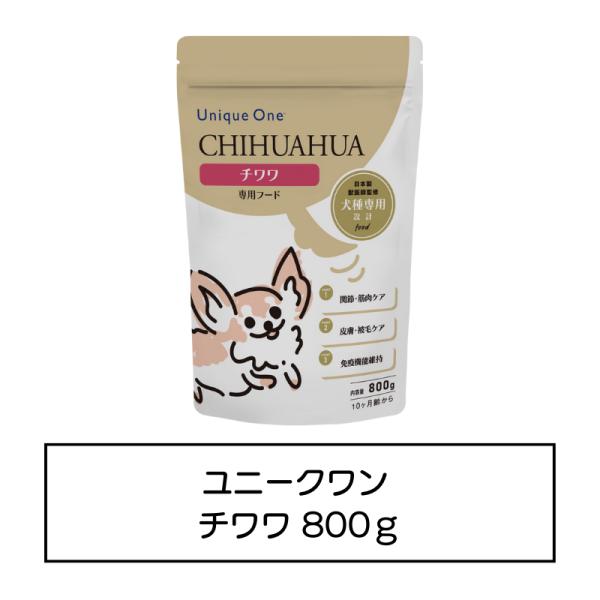UniqueOne　チワワ　800g