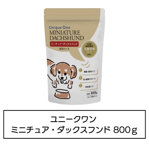 UniqueOne　ミニチュア・ダックスフンド　800g