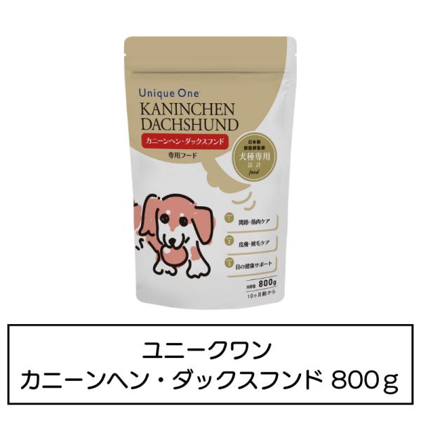 UniqueOne　カニンヘン・ダックスフンド　800g