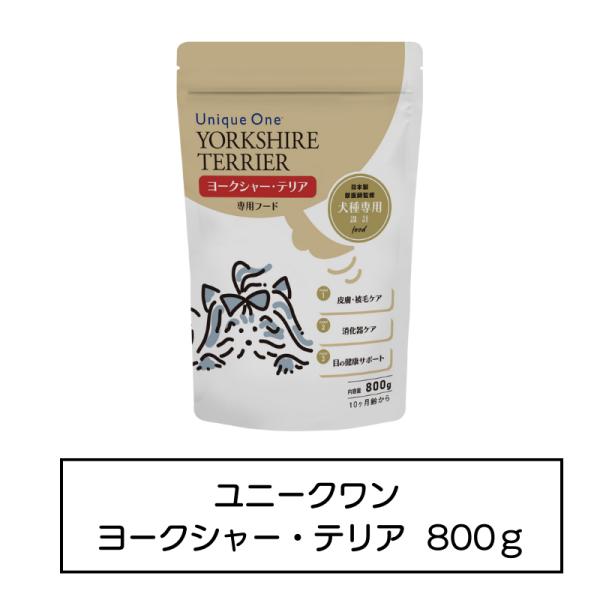 UniqueOne　ヨークシャー・テリア　800g