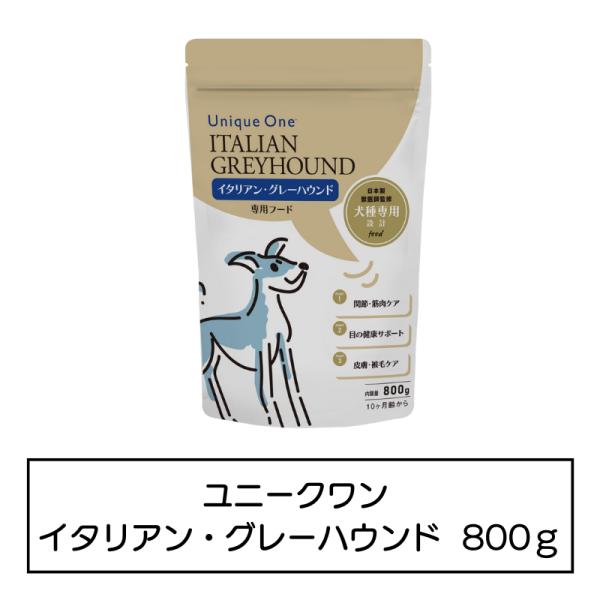 UniqueOne　イタリアン・グレーハウンド　800g