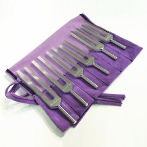 BIOSONICS 正規品 ソルフェジオ チューナー6本セット １個　音叉　送料無料　正規品　アメリカ　バイオソニックス　DNA528Hz含む