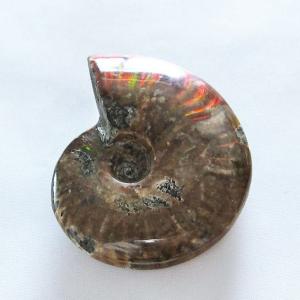 マダガスカル産 虹色 遊色 アンモナイト 化石 43.3x33.4mm 金運 財産