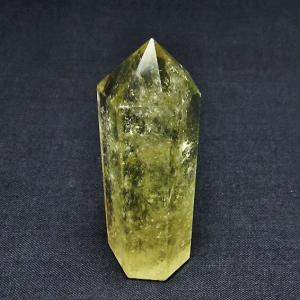 SWAROVSKI（スワロフスキー） 『SCS ペンギンの妹 PATTY』 5405834