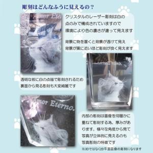 ペット 遺影 位牌 天使の羽メモリアルmini...の詳細画像5