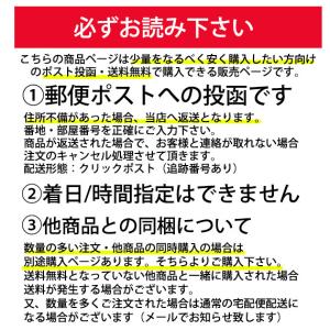 ライトステージ (ポスト投函/送料無料) NK...の詳細画像4