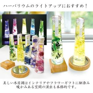 ライトステージ (ポスト投函/送料無料) NK...の詳細画像5