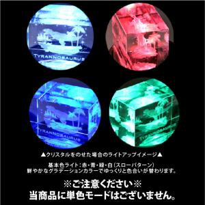 ライトステージ NKLS-8SL ハーバリウム...の詳細画像1