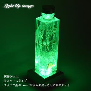 ライトステージ NKLS-8SL ハーバリウム...の詳細画像3