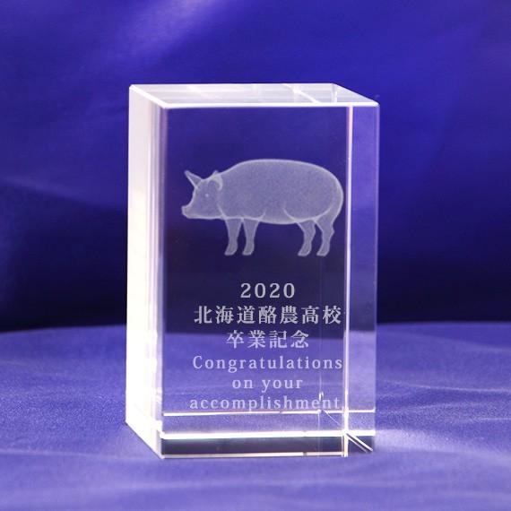 畜産 豚 酪農 記念品 卒業記念 大会 表彰 名入れ メッセージ刻印 3D豚 クリスタル ペーパーウ...