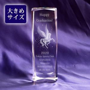 3Dクラウン クリスタル ブロック 50x150mm ペーパーウェイト