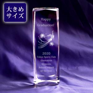 3D鳳凰 クリスタル ブロック 50x150mm ペーパーウェイト 記念品 大会 表彰 名入れ メッセージ刻印 3Dホウオウ 彫刻代込み ／NKTR-0067