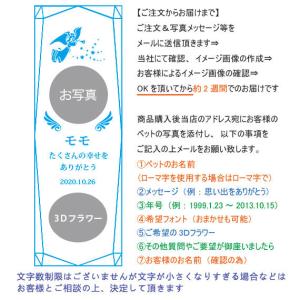 ペット 位牌 天使の羽メモリアル 選べる3Dフ...の詳細画像1