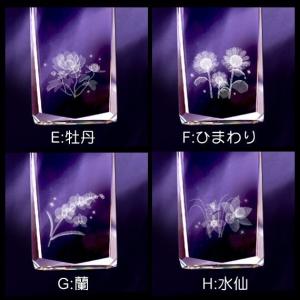 ペット 位牌 天使の羽メモリアル 選べる3Dフ...の詳細画像4