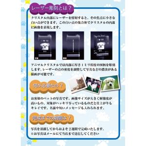 ペット 位牌 天使の羽メモリアル クリスタルガ...の詳細画像2