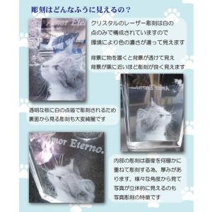 ペット 位牌 天使の羽メモリアル クリスタルガ...の詳細画像3