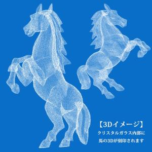競馬 乗馬 記念品 卒業記念 大会 表彰 名入...の詳細画像4