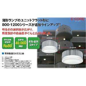 LEDユニットフラット形新1200シリーズ 16.6W 広角 昼白色◇LDF17N-GX53