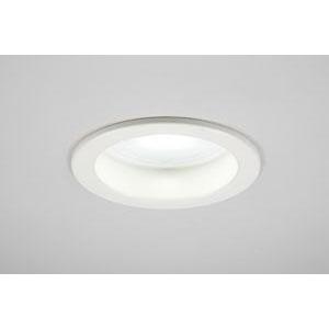 東芝ライテック 非調光1600シリーズ 中角（45°） 昼白色 即納可