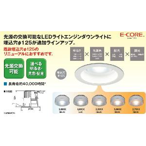 東芝ライテック 非調光1600シリーズ 広角（85°） 白色 即納可