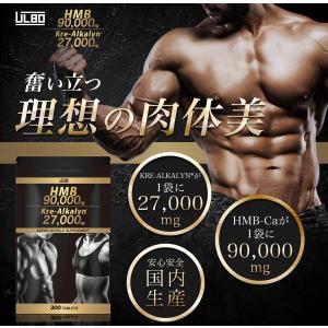プロテイン ダイエット 男性のおすすめランキング Hmb クレアチン ダイエット サプリ プロテイン 筋トレ スポーツ 筋トレ 2ページ