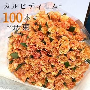 オレンジ バラ 100本の花束 カルピディーム+ 送料無料 ギフト 記念日 誕生日 プロポーズ