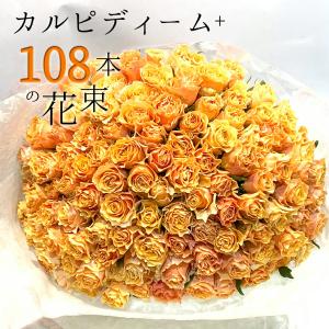 オレンジ バラ 108本の花束 カルピディーム+ 送料無料 ギフト 記念日 誕生日 プロポーズ