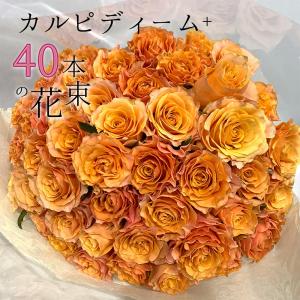 オレンジ バラ 40本の花束 カルピディーム+｜ginzatokyo