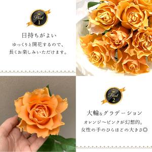 オレンジ バラ 70本の花束 カルピディーム+...の詳細画像4