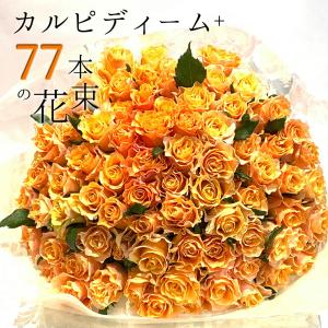 オレンジ バラ 77本の花束 カルピディーム+ 送料無料 ギフト 記念日 誕生日 プロポーズ