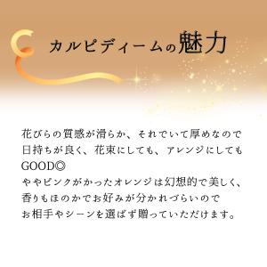 オレンジ バラ 88本の花束 カルピディーム+...の詳細画像3