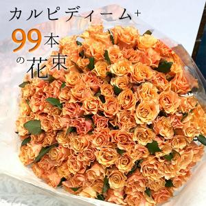 オレンジ バラ 99本の花束 カルピディーム+ 送料無料 ギフト 記念日 誕生日 プロポーズ