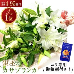 カサブランカ 花束 3本 12輪以上 生花 白ユリの女王 銀座のカサブランカ 大輪白ユリ ほぼ蕾でお届け 土日も出荷 お届け日指定 プレゼント