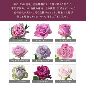 一本から注文可 色が選べる銀座のバラ 花束 送料別の詳細画像4