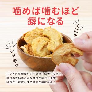 ドライアップル りんご 砂糖不使用 無添加 1...の詳細画像2
