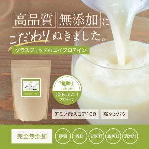 ホエイプロテイン 無添加 無糖 甘味料無添加 ...の詳細画像1