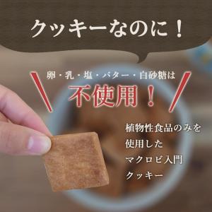 豆乳おからクッキー ちょっとかたい 500g ...の詳細画像4