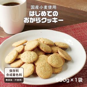 おからクッキー 国産小麦 500g レーズン風...の詳細画像1