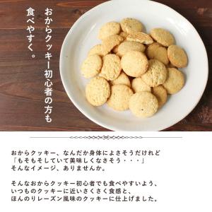 おからクッキー 国産小麦 500g レーズン風...の詳細画像2