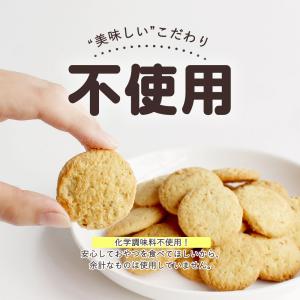 おからクッキー 国産小麦 500g レーズン風...の詳細画像3